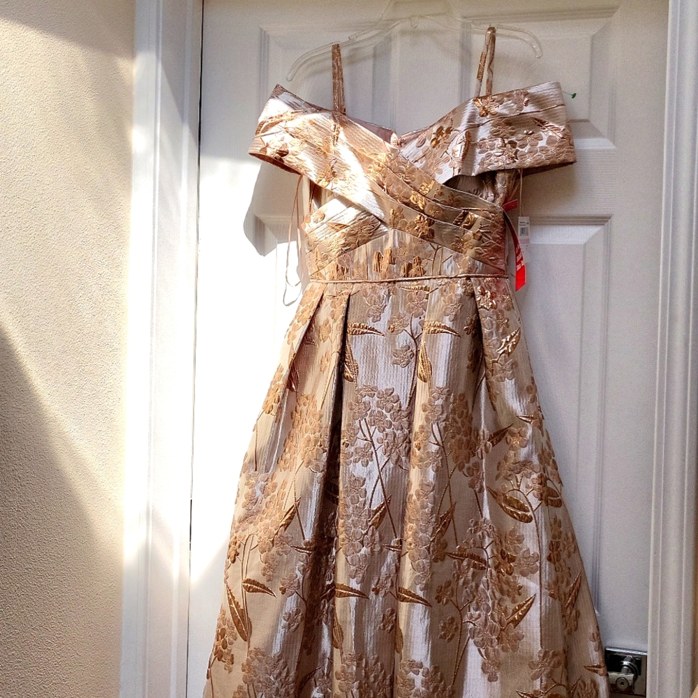 NWT Nightway collection gorgeous  ballgown - Picture 3 of 13